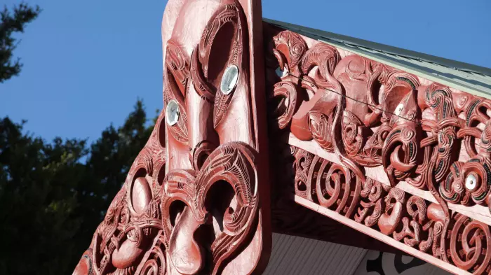Māori tertiary institution pulls out of startup programme
