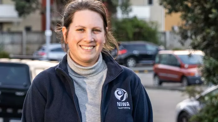 NZ's native forests may suck up more CO2 than thought