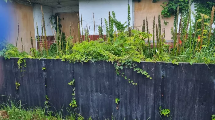 Kāinga Ora properties sit derelict while reviews continue