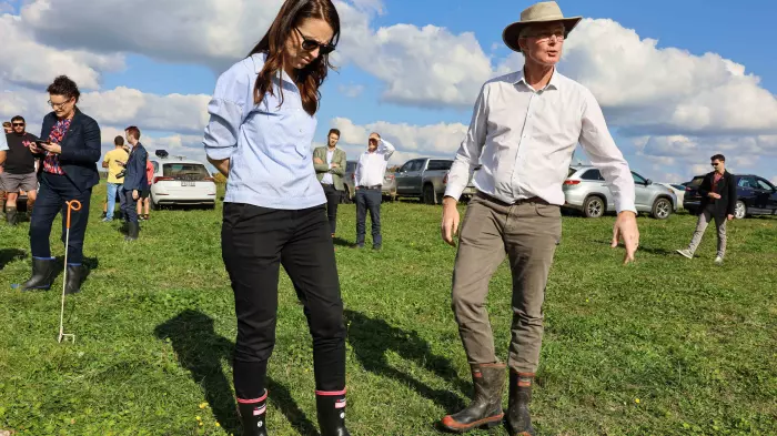 Jim van der Poel's 25 years of dairy industry governance
