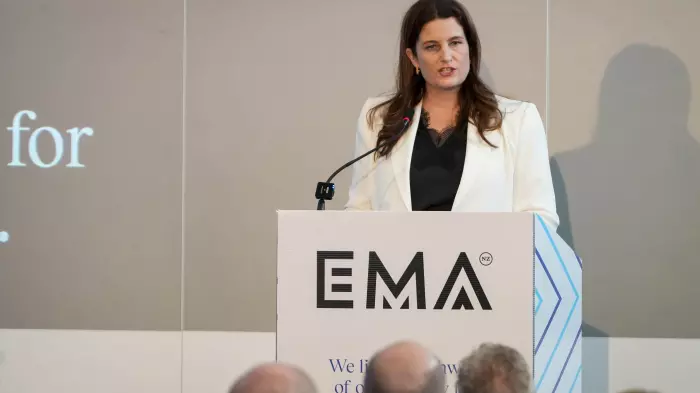 EMA chief says ‘technicality’ behind auditor’s going concern opinion