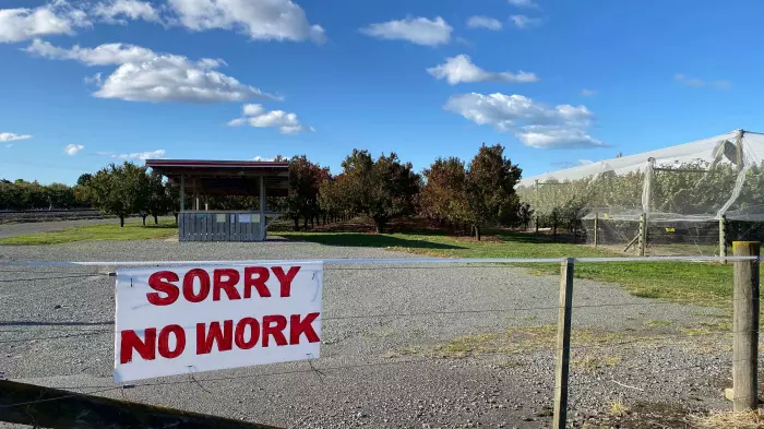 Unemployment to hit 5%, bank economists say