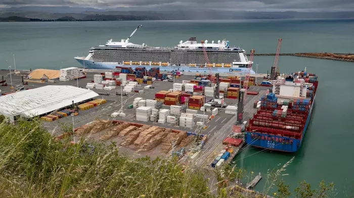 Napier Port profits up 50% as headwinds ease