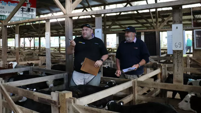 Allied Farmers shareholders back sale of NZ Farmers Livestock