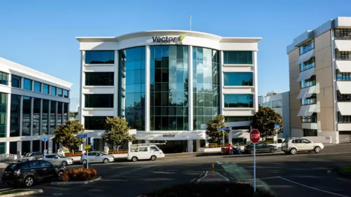 Vector faces fresh complaint on unfair contract terms