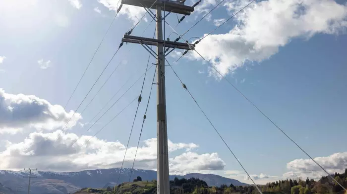 Customised price path re-energises Otago lines company