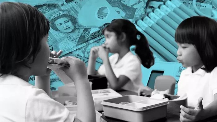 Auditor General launches investigation into school lunch programme
