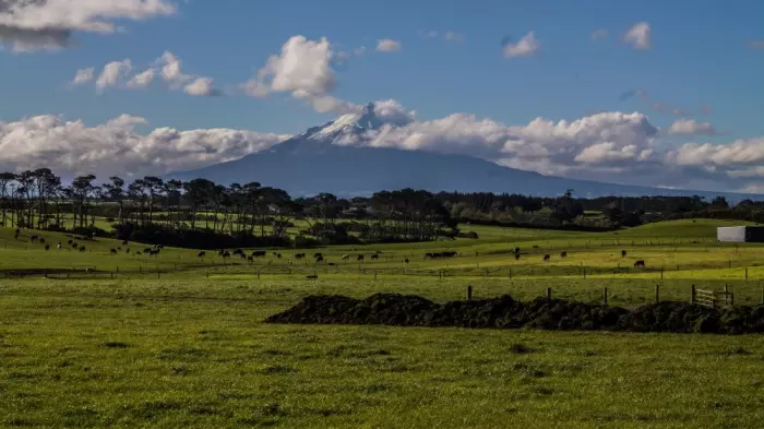 The hydrogen dream – a tale of two countries