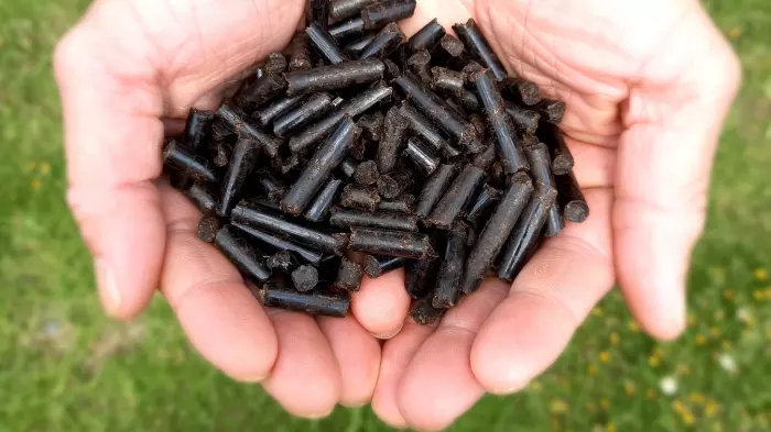 Biomass can fire Huntly power station