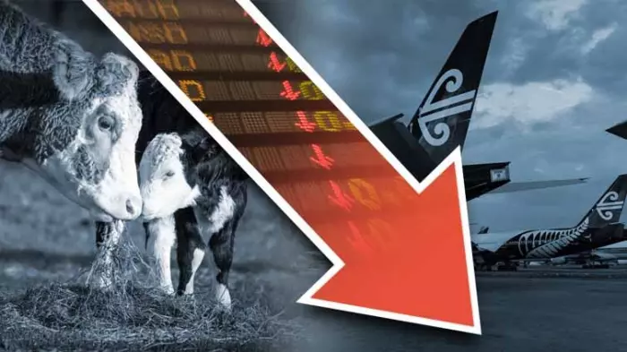 NZX50 Carbon Insight: What the data tells us