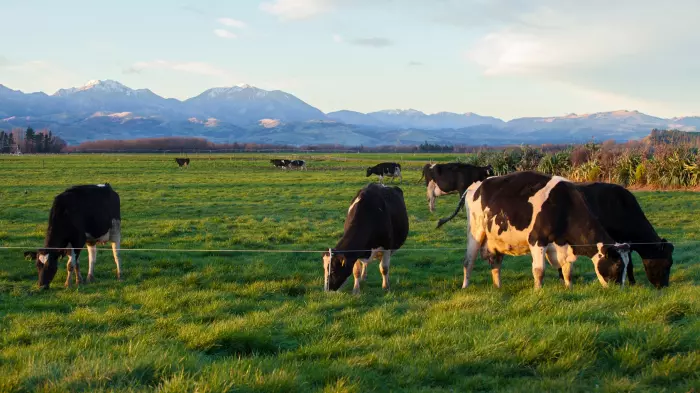 AgriZeroNZ makes its first investment in an Australian startup
