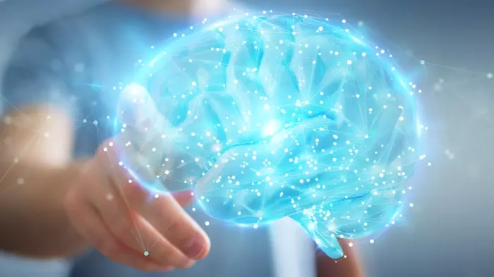 What does it mean to be human?