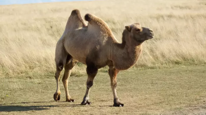 QuiznessDesk, Wednesday, Oct 29