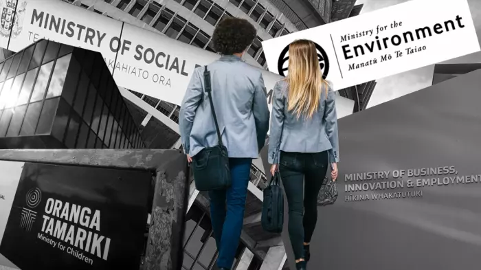 Axed public servants return as contractors