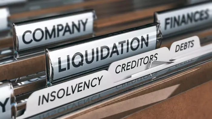 NZ wing of GrowthOps owed $4.3m in intercompany loans