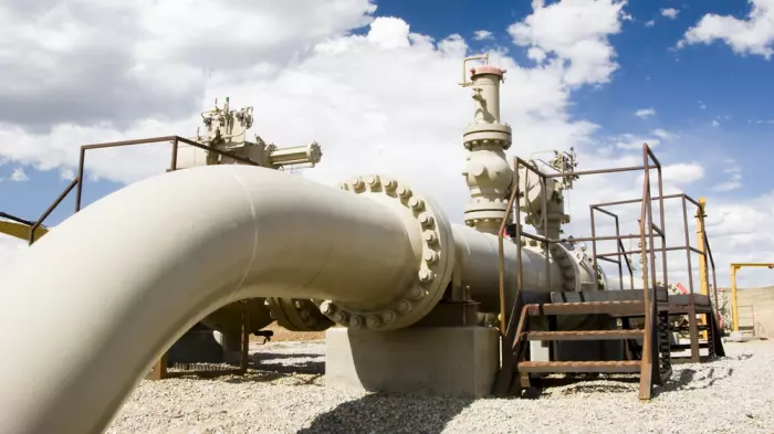 Energy security and cost concerns prompt caution over gas
