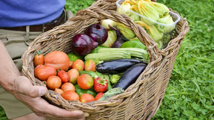 Farm direct won’t fix our food system. Could new retail entrepreneurs?