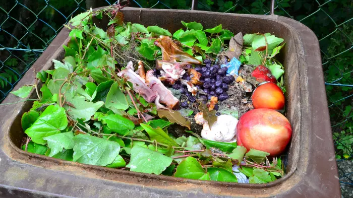 The case to ban organic waste