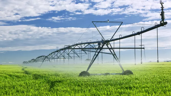 Irrigation company saved from liquidation