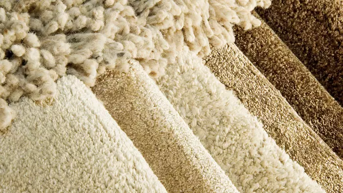 Farmers need $5-10/kg for strong wool – MPI