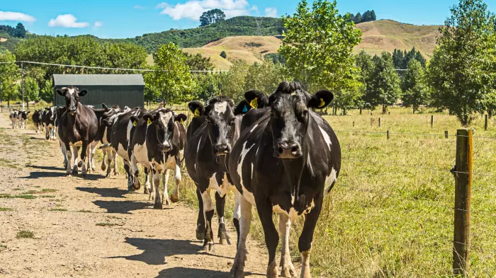 Margin pressure Fonterra's biggest challenge