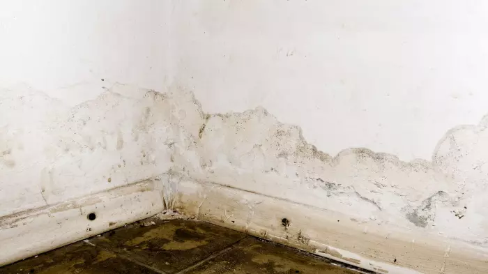Leaky home owners left high and dry