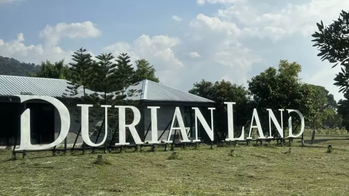 What’s that smell? It’s Durian Land