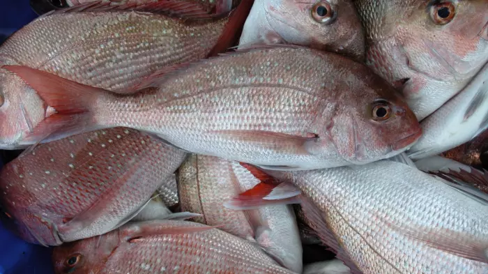 Fisheries bill doesn't pass sniff test