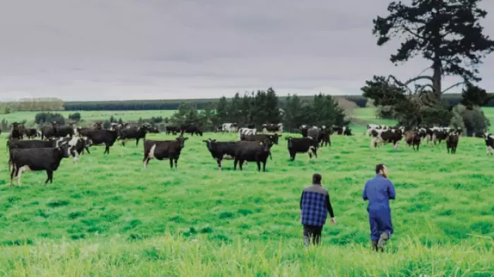 Just how tight are farmers’ finances?