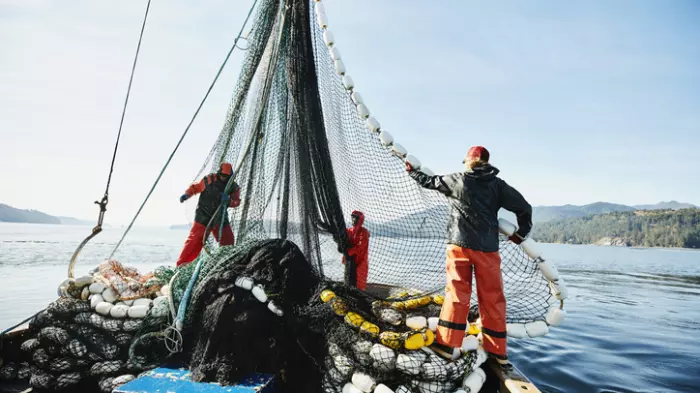 Politicians agree fishing industry has a problem with social licence