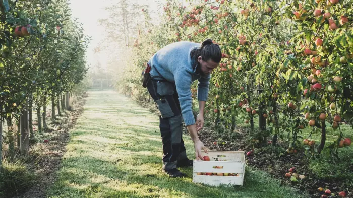 Government boosts number of working holiday places