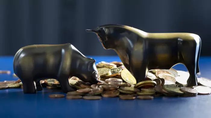 Bulls, bears and analysis …