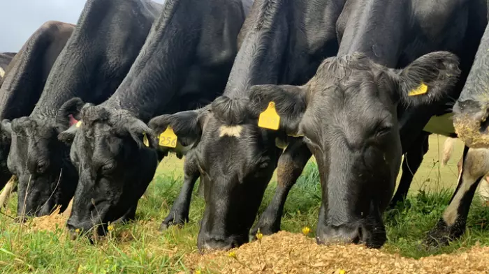How bad could this dairy season get?