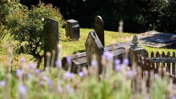Not time to call in the undertakers yet