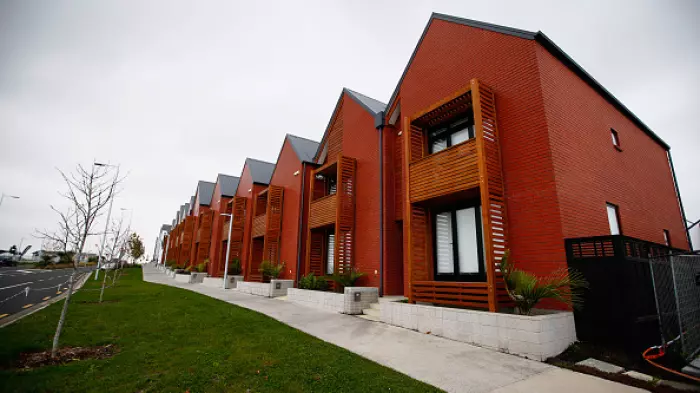 PATTRICK SMELLIE: A little bit of Green-lipped muscle