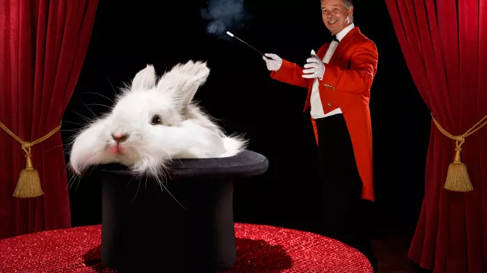 The Government's Bunny Budget