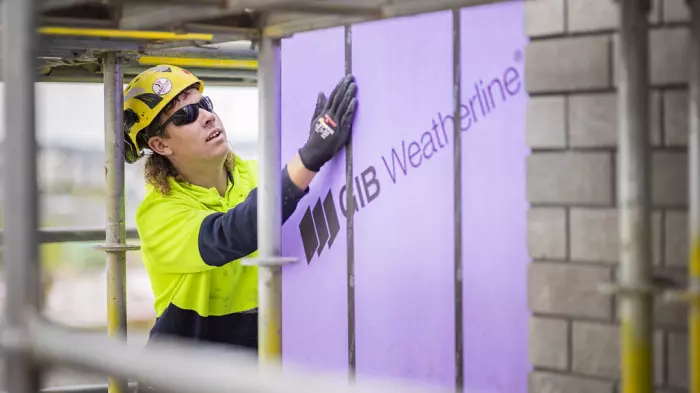 Fletcher should avoid capital raise 'at all costs'