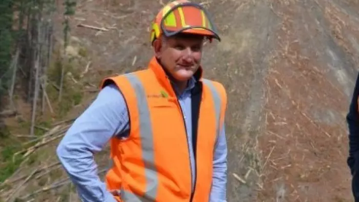 Govt move to control ETS will slow new forestry, say owners