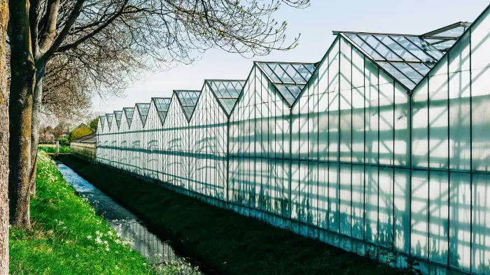 Dutch carbon tech startup plans to put down roots in NZ