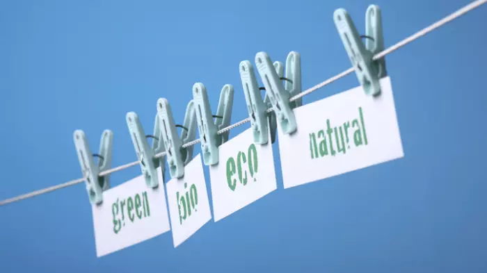 How to spot greenwashing in your investments
