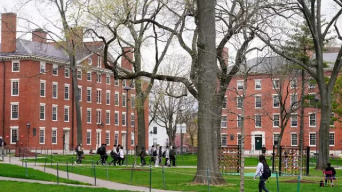 Ivy League colleges like Harvard are big business at its worst