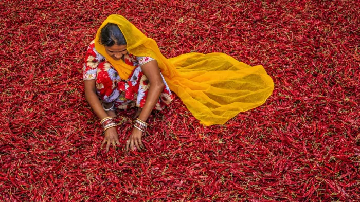 NZ–India FTA off the cards in the short term: O'Connor