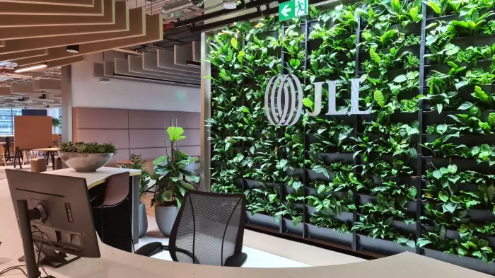 JLL confirms Wellington and ChCh office closures