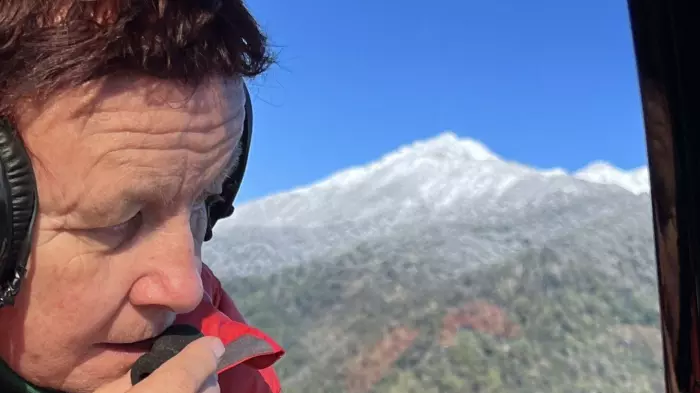 'Finger-in-the-dyke stuff': wilding pine funding