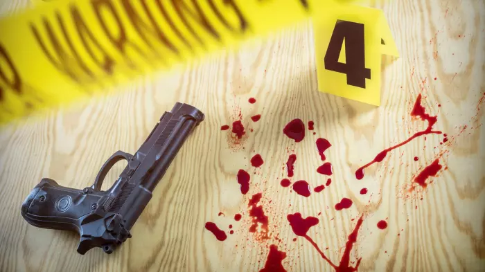 Words every killer should know: 'I feared for my life, officer'