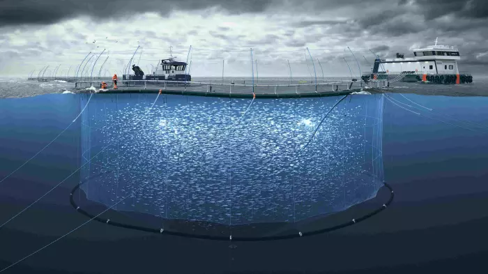 US consumers ignore tariffs on King Salmon