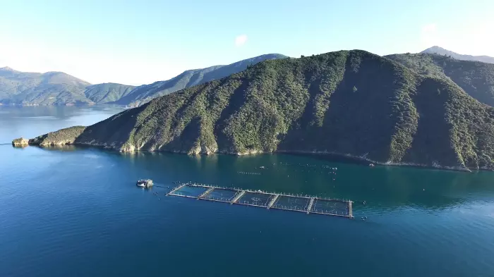 King Salmon slashes earnings guidance