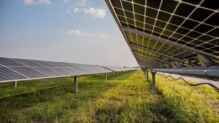 MyFarm's solar seduction