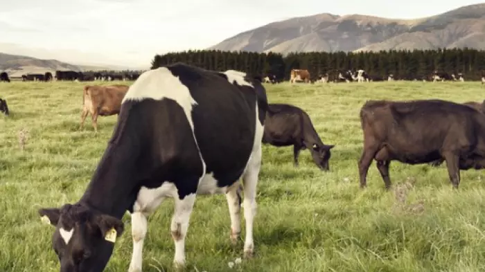 LIC farmer-owners to get slice of $18.5m National Milk Records sale