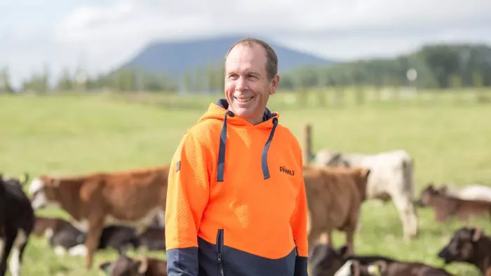 Pāmu on track for record profit as farmgate prices rise